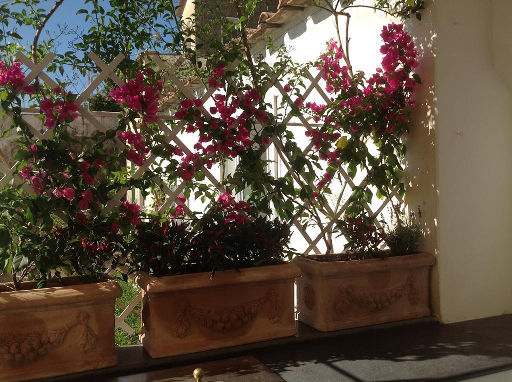 Casa Vela Apartment Positano Exterior photo